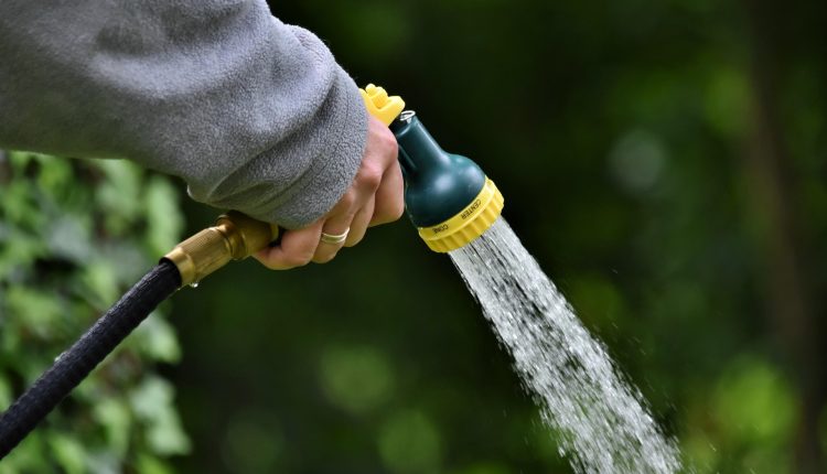 rolul esențial al apei în grădină